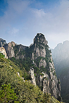 rong bach kim
