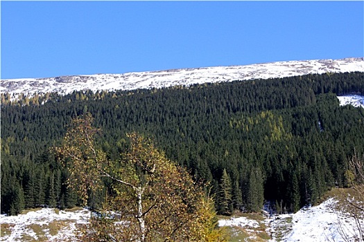 soi cau du doan xs wap